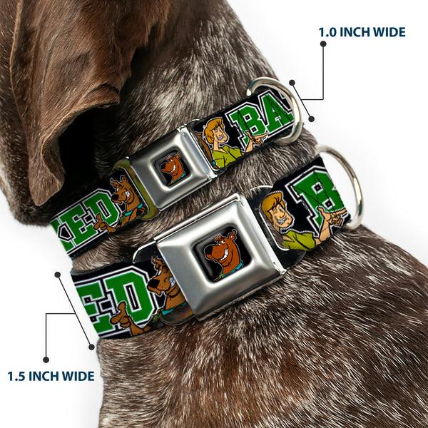 Buckle Down Scooby Doo Face Full Color Black Seatbelt Buckle Collar - Scooby Doo & Shaggy Pose/BAKED Black/Green