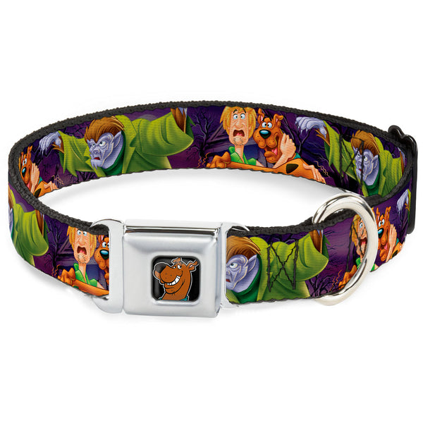 buckle down Scooby Doo Face Full Color Black Seatbelt Buckle Collar - Scooby & Shaggy Hugging w/Werewolf Man Purple