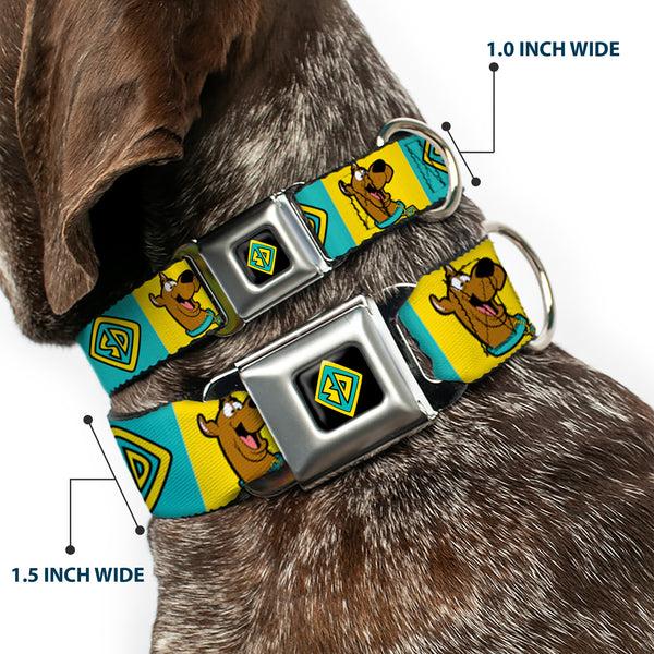 Buckle Down SD Dog Tag Full Color Black/Yellow/Blue Seatbelt Buckle Collar - Scooby Doo Pose And Dog Tag Blocks Yellow/Blue