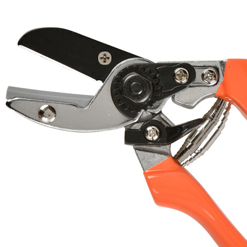 Burgon & Ball Anvil Secateur - RHS Endorsed