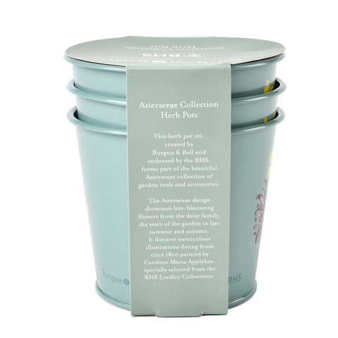 Burgon & Ball Asteraceae Herb Pots