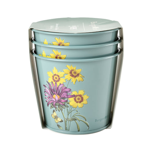 Burgon & Ball Asteraceae Herb Pots