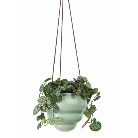 Burgon & Ball Bombini Hanging Pot Trio