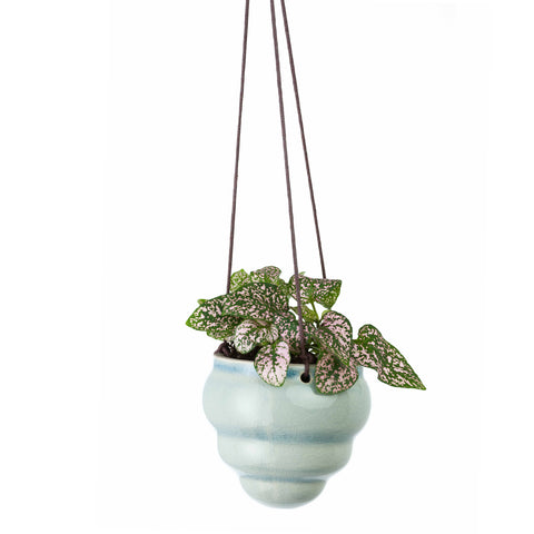 Burgon & Ball Bombini Hanging Pot Trio
