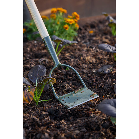 Burgon & Ball BoronGreen Dutch Hoe - RHS Endorsed