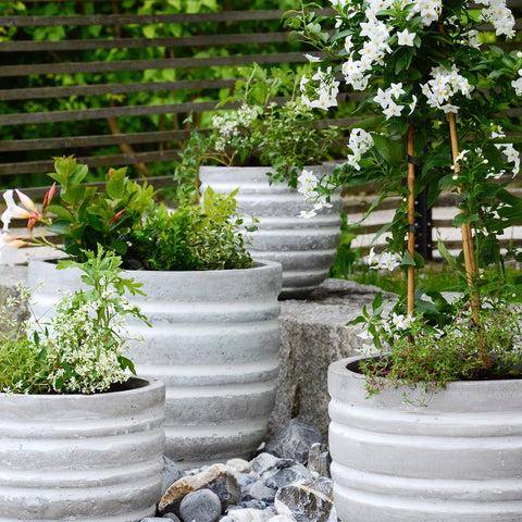 Burgon & Ball Container Scoop - RHS-Endorsed