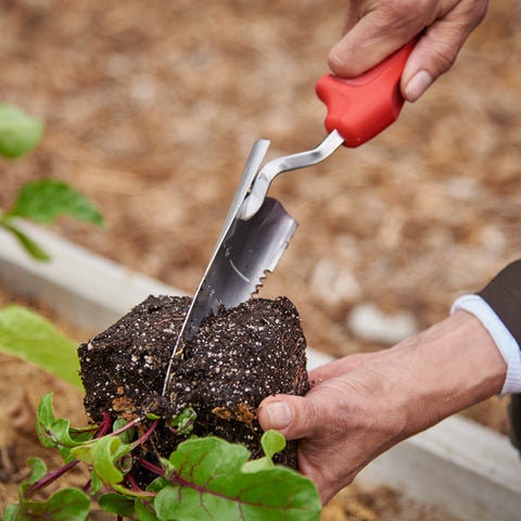 Burgon & Ball Corona ComfortGEL Transplanter