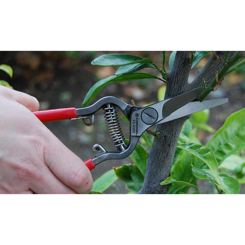 Burgon & Ball Corona Max Forged Thinning Shear