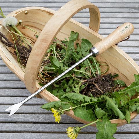 Burgon & Ball Dandelion Weeder - RHS Endorsed