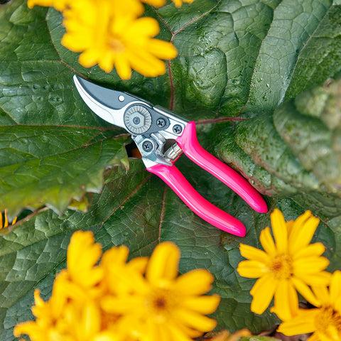 Burgon & Ball FloraBrite® Pink Pocket Pruner
