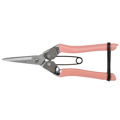Burgon & Ball Flower Snips Blush - Collector
