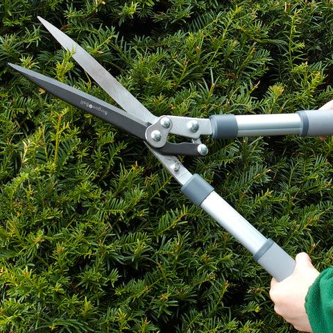 Burgon & Ball Hedge Shear - RHS Endorsed