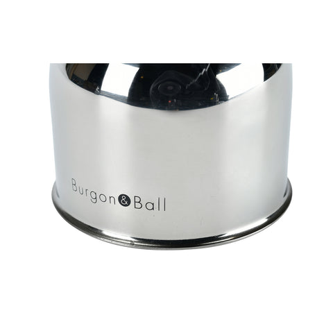 Burgon & Ball Indoor Plant Mister - Stainless Steel