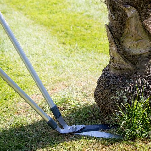 Burgon & Ball Lawn Shear - RHS Endorsed