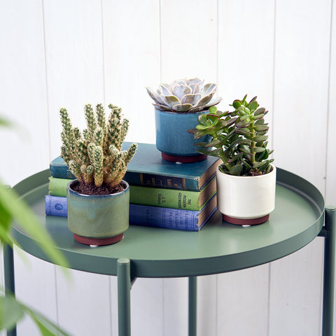 Burgon & Ball Malibu Succulent Pot - Green