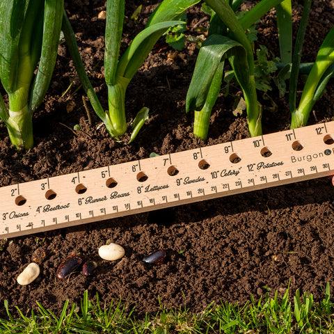Burgon & Ball Planting Ruler