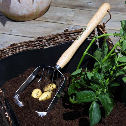Burgon & Ball Potato Harvesting Scoop - RHS Endorsed
