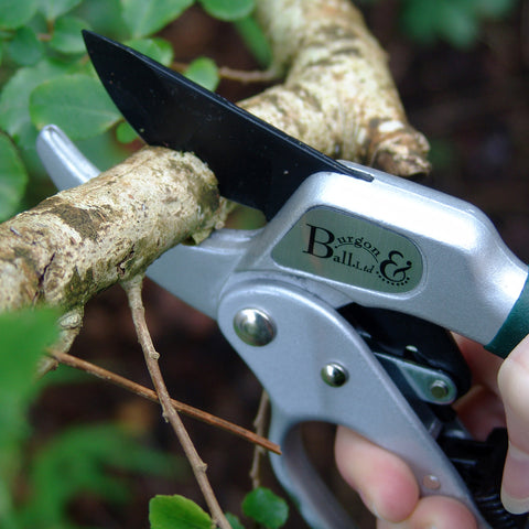 Burgon & Ball Ratchet Pruner - RHS Endorsed