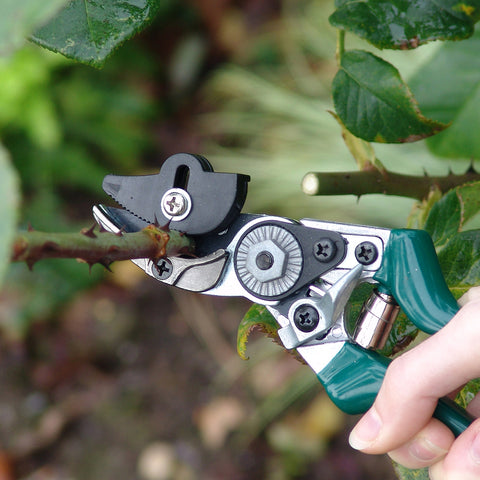 Burgon & Ball Rose Pruner - RHS Endorsed