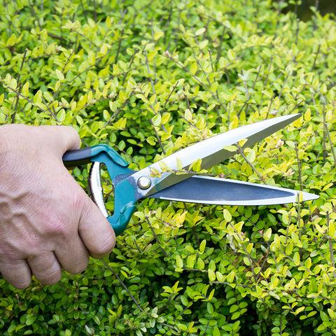 Burgon & Ball Shrub Shear - RHS Endorsed