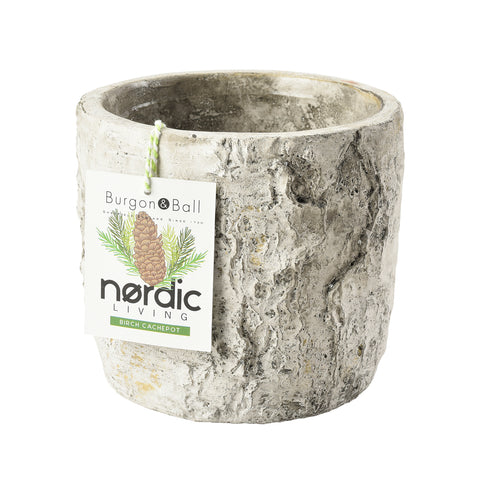 burgon & ball Silver Birch Pot
