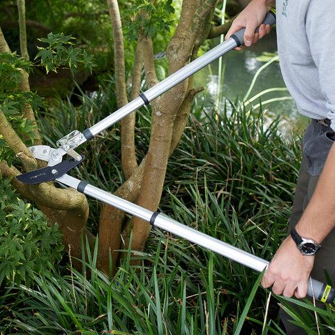 Burgon & Ball Telescopic Ratchet Lopper - RHS Endorsed