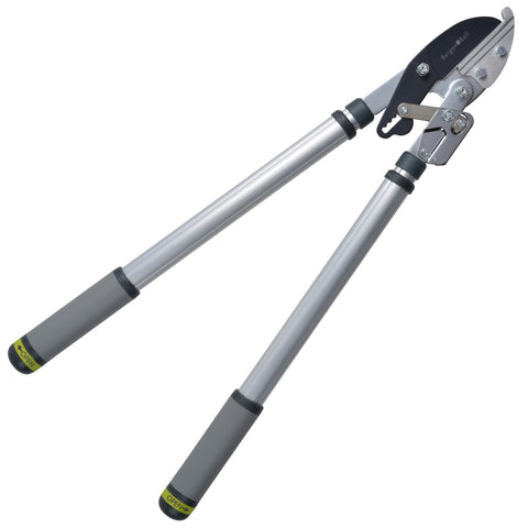 burgon & ball Telescopic Ratchet Lopper - RHS Endorsed