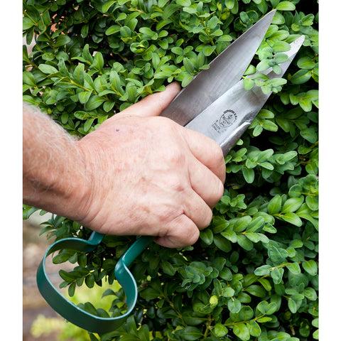 Burgon & Ball Topiary Trimming Shears - Large