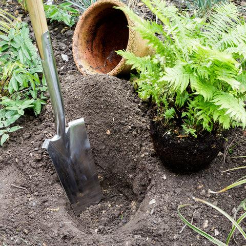 Burgon & Ball Transplanting Spade - RHS Endorsed