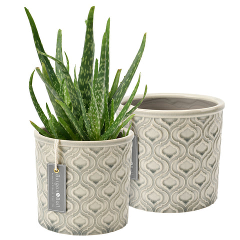 Burgon & Ball Venetian Grey Glazed Pot - Small