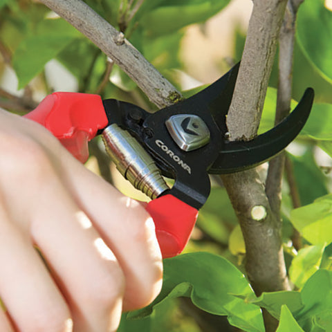 Burgon & Ball Corona ComfortGEL Branch And Stem Pruner