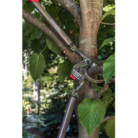 Burgon & Ball Corona Max Forged DualLINK Limb And Branch Lopper