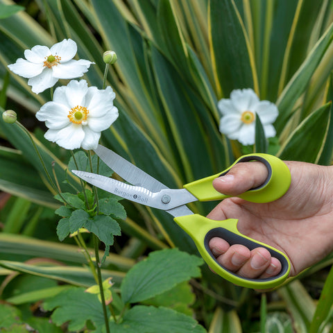 Burgon & Ball Garden And Flower Scissors – RHS Endorsed