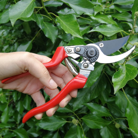 Burgon & Ball Left-handed Bypass Secateurs - RHS Endorsed