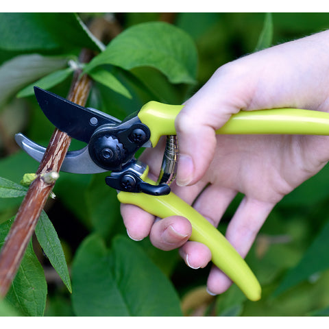 Burgon & Ball Micro Secateur - RHS Endorsed Green Handle