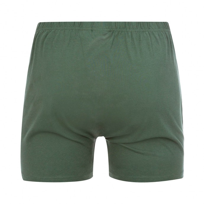 Bushman Undershorts Nicolas Dry Leaf