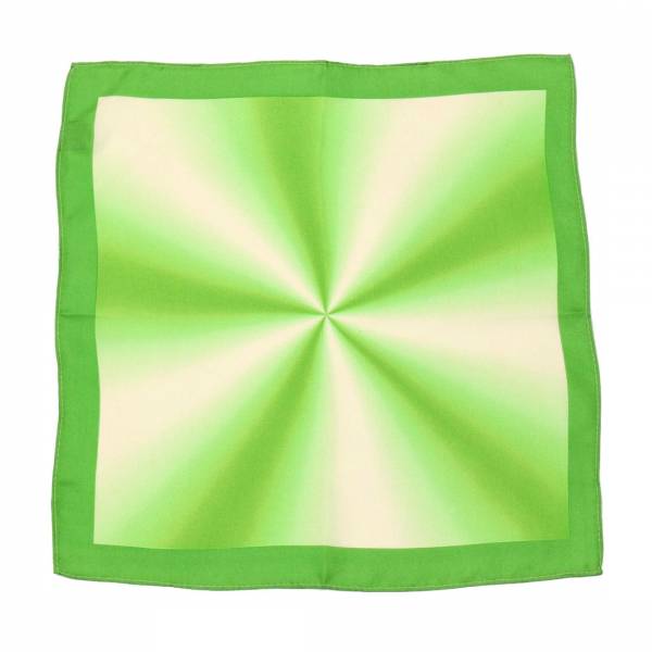 buy your ties Aficionado Silk Pocket Square Style: PS-Z-304