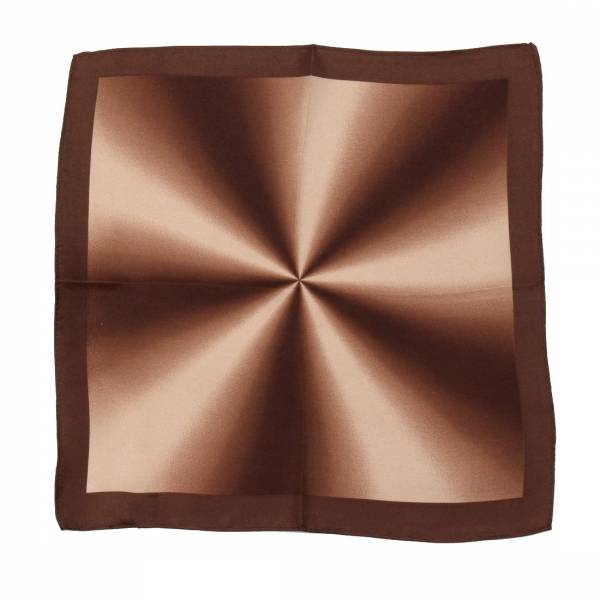 buy your ties Aficionado Silk Pocket Square Style: PS-Z-305