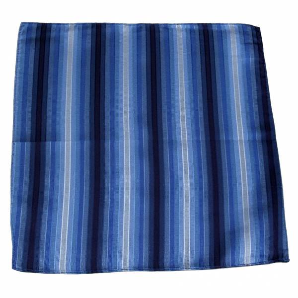 buy your ties Aficionado Silk Pocket Square Style: PS-Z-332