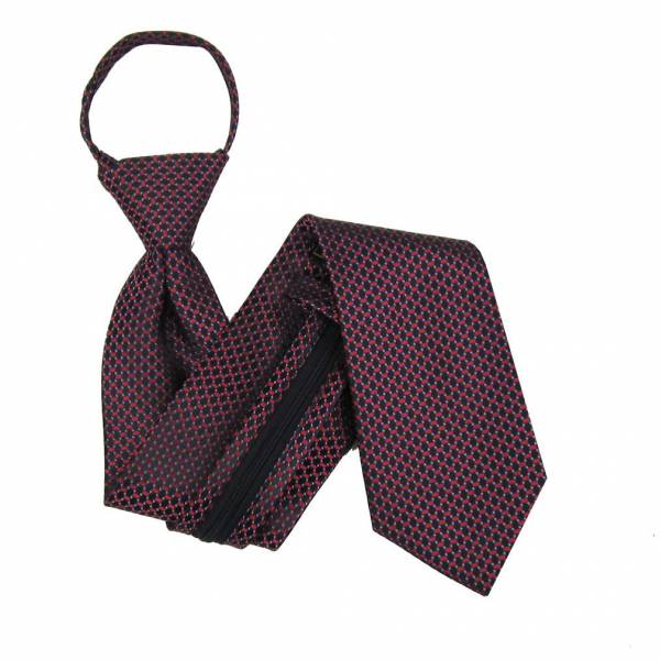 buy your ties Boys 11 inch Zipper Tie Style: B-U-ZIP-10073