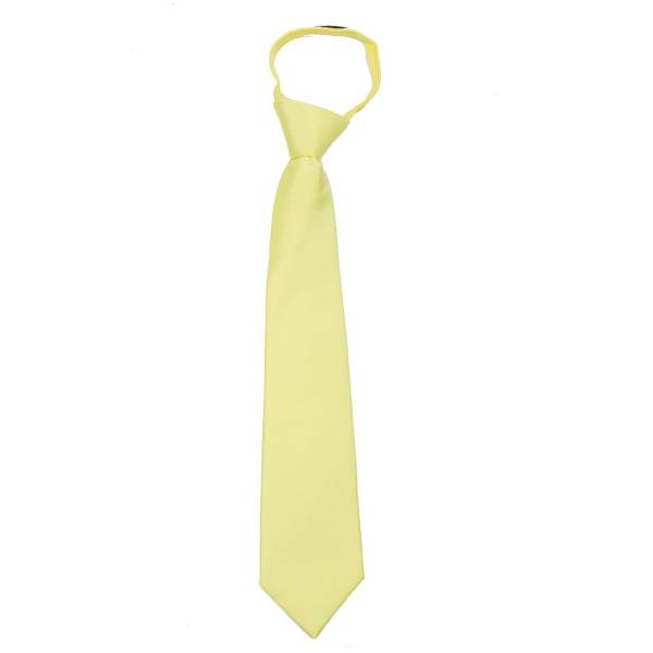 buy your ties Boys 11 inch Zipper Tie Style: B-U-ZIP-ADF-9