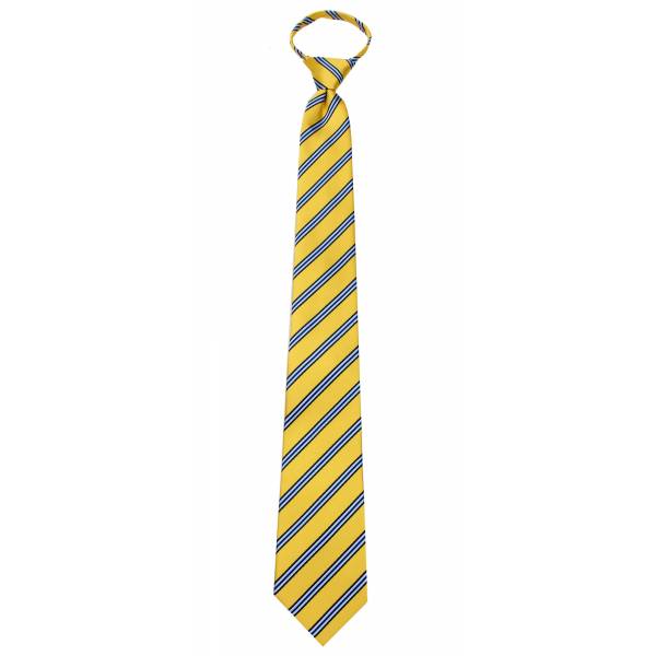 buy your ties Boys 14 inch Zipper Tie Style: B-ZIP-12057