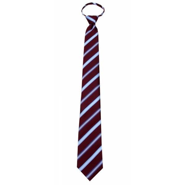 buy your ties Boys 14 inch Zipper Tie Style: B-ZIP-12060