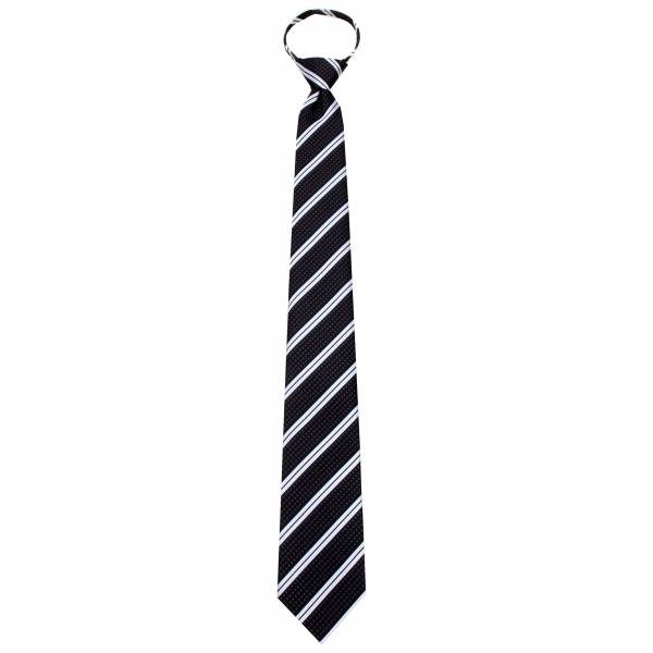 buy your ties Boys 14 inch Zipper Tie Style: B-ZIP-12061