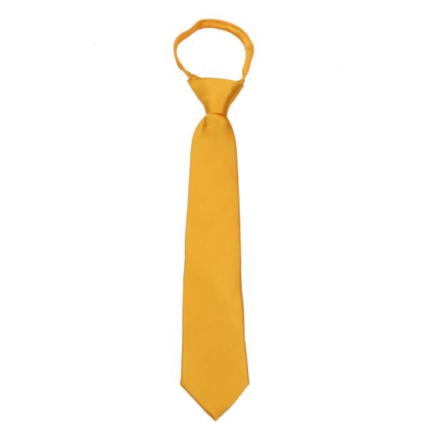 buy your ties Boys 14 inch Zipper Tie Style: B-ZIP-ADF-49