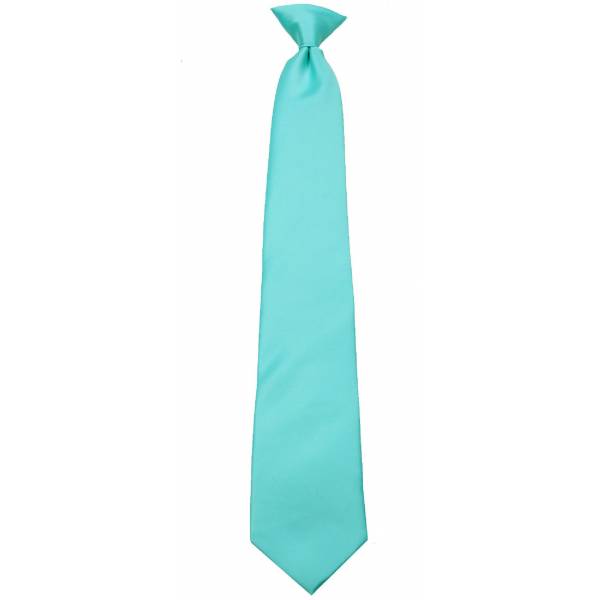 buy your ties Boys Aqua Blue Clip on Tie Style: B-CLIPON-ADF-42