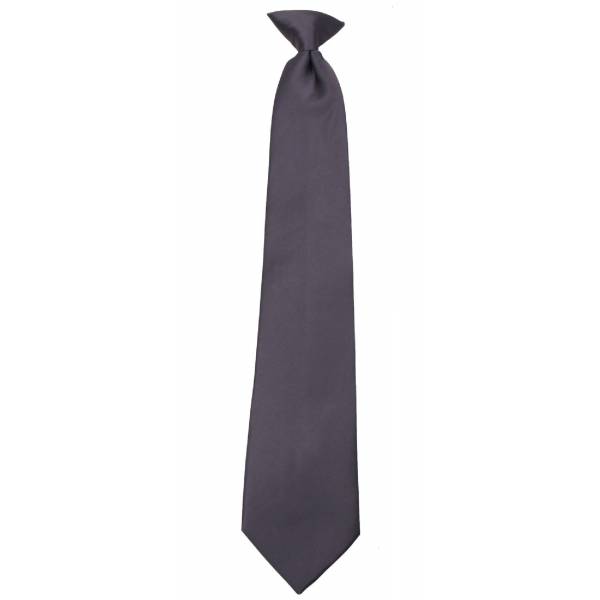 buy your ties Boys Charcoal Clip on Tie Style: B-CLIPON-ADF-29