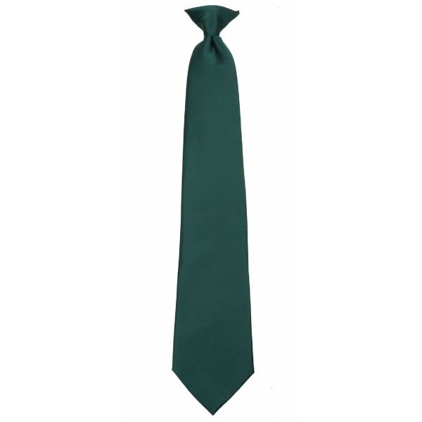 buy your ties Boys Hunter Green Clip on Tie Style: B-CLIPON-ADF-17