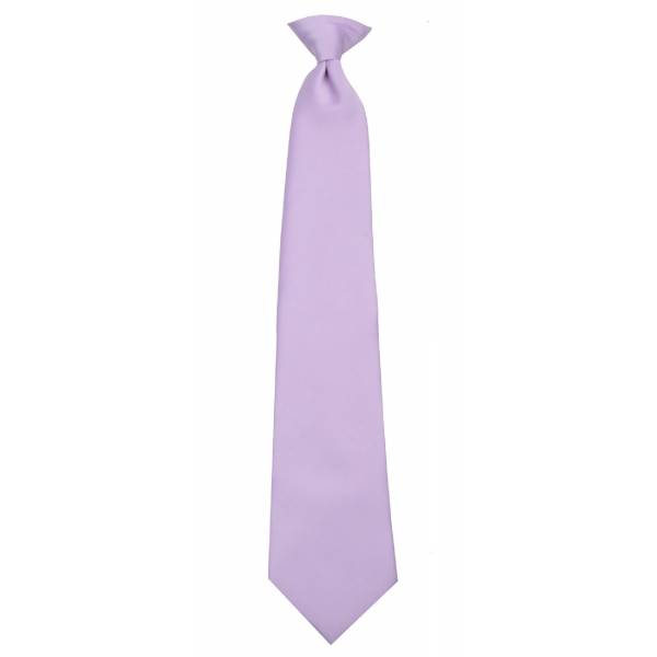 buy your ties Boys Lilac Clip on Tie Style: B-CLIPON-ADF-13