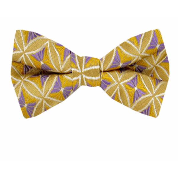 buy your ties Boys Pattern Pre Tied Bow Tie Style: B-PBTF-7077